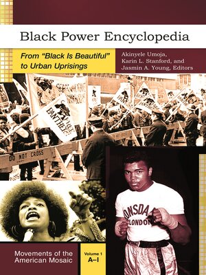 cover image of Black Power Encyclopedia